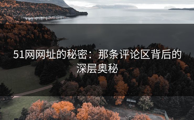 51网网址的秘密：那条评论区背后的深层奥秘