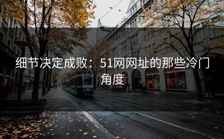 细节决定成败:51网网址的那些冷门角度 细节决定成败:51网网址的那些冷门角度